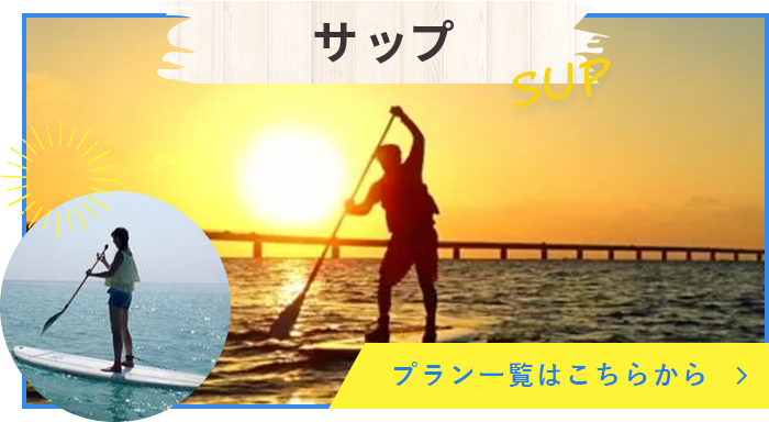 サップ