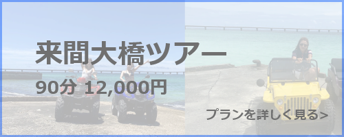 バギー