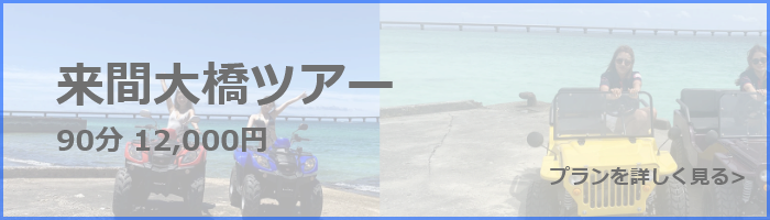 バギー