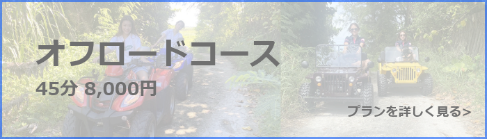 バギー